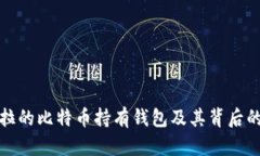 揭秘特斯拉的比特币持有