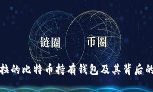 揭秘特斯拉的比特币持有钱包及其背后的投资策略