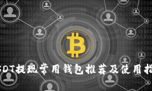 USDT提现常用钱包推荐及使用指南