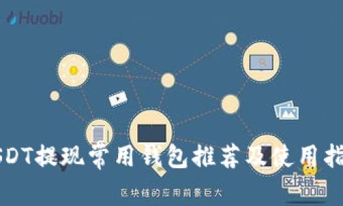 USDT提现常用钱包推荐及使用指南