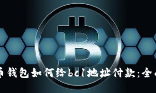 比特币钱包如何给bc1地址付款：全面指南