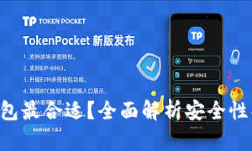 比特币存放哪个钱包最合适？全面解析安全性、实用性与选择指南