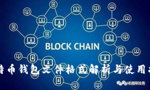 比特币钱包文件格式解析与使用指南