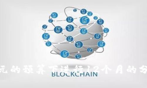 如何在800元的预算下进行12个月的分期付款规划