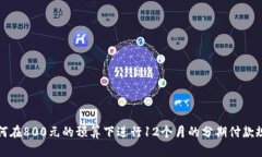 如何在800元的预算下进行12个月的分期付款规划