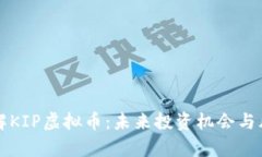 深入了解KIP虚拟币：未来投资机会与风险分析