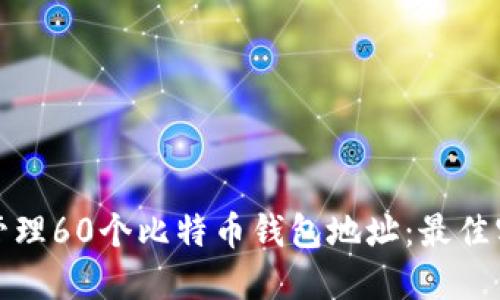 如何安全管理60个比特币钱包地址：最佳实践与策略