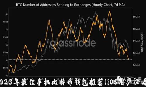
2023年最佳手机比特币钱包推荐（iOS用户必看）
