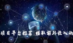 最佳搬砖项目平台推荐：赚取额外收入的必备指