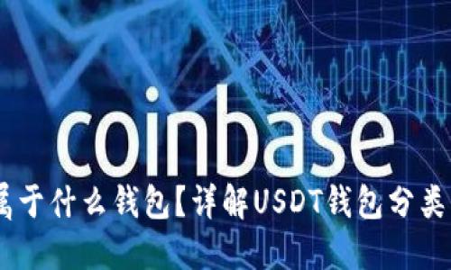 USDT属于什么钱包？详解USDT钱包分类与选择