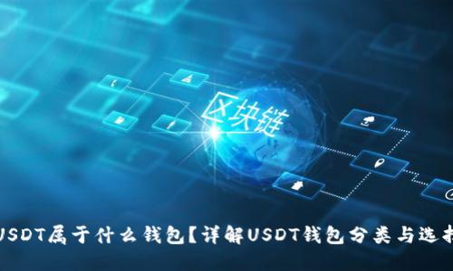 USDT属于什么钱包？详解USDT钱包分类与选择