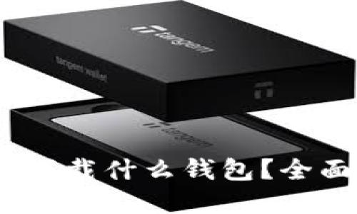 转USDT需要下载什么钱包？全面指南和推荐