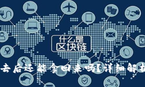: USDT转出去后还能拿回来吗？详细解析与风险指引