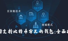 选择支持比特币分叉的钱