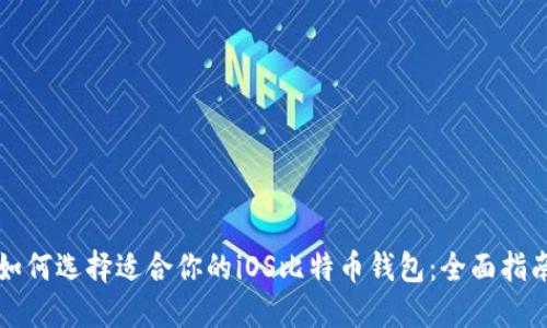 如何选择适合你的iOS比特币钱包：全面指南