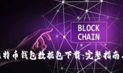 biao ti/比特币钱包数据包下