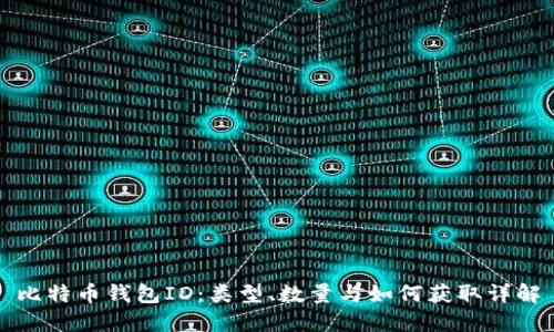 比特币钱包ID：类型、数量与如何获取详解
