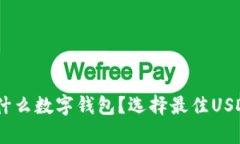 USDT存放在什么数字钱包？