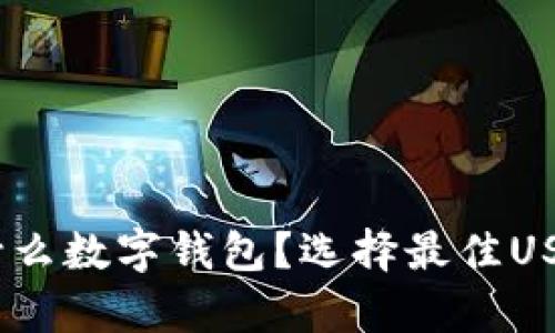 USDT存放在什么数字钱包？选择最佳USDT钱包的指南