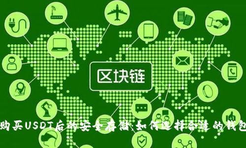 购买USDT后的安全存储：如何选择合适的钱包