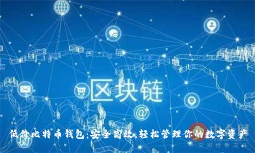 低价比特币钱包：安全高效，轻松管理你的数字资产