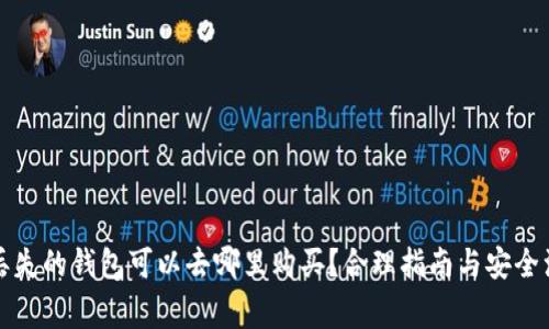 比特币丢失的钱包可以去哪里购买？合理指南与安全注意事项