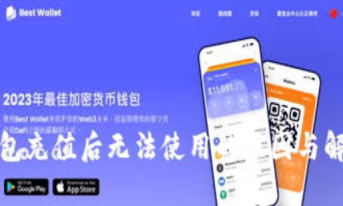 数字钱包充值后无法使用的原因与解决方法