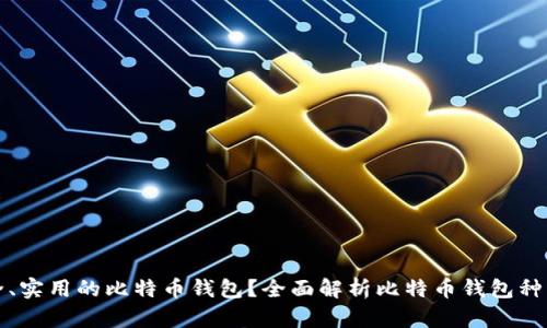 如何选择安全、实用的比特币钱包？全面解析比特币钱包种类与使用方法
