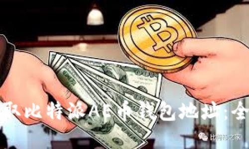 如何获取比特派AE币钱包地址：全面指南