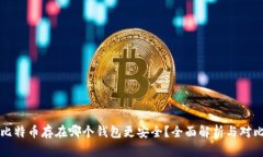 比特币存在哪个钱包更安全？全面解析与对比
