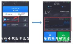 比特币钱包不见怎么办？完整指南与解决方案