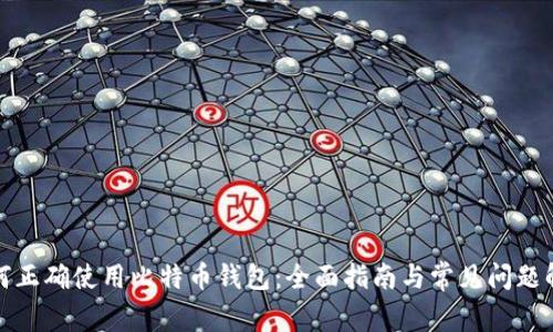 如何正确使用比特币钱包：全面指南与常见问题解答