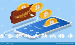 如何选择适合你的大陆比特币钱包网站？
