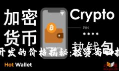 区块链钱包开发的价格揭秘：投资与回报的深度