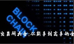 数字货币交易所大全：从新手到高手的全方位指